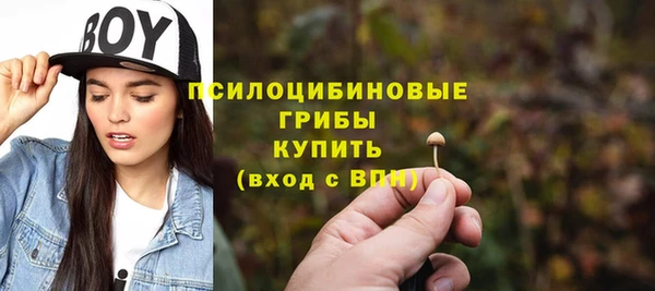 трава Беломорск